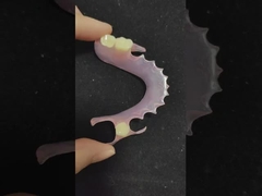 वालप्लास्ट प्रोटेट